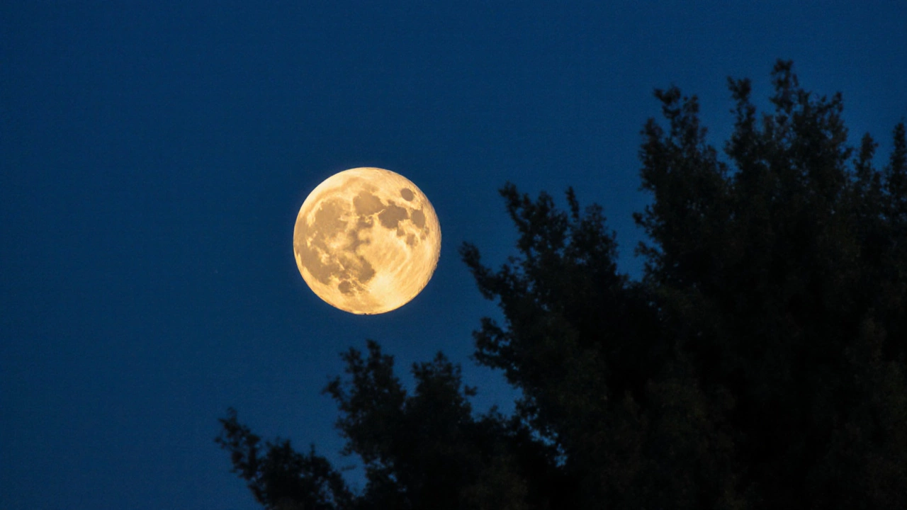 Supermoon Spectacle: October 6, 2025 Harvest Moon Lights Up US and UK Skies